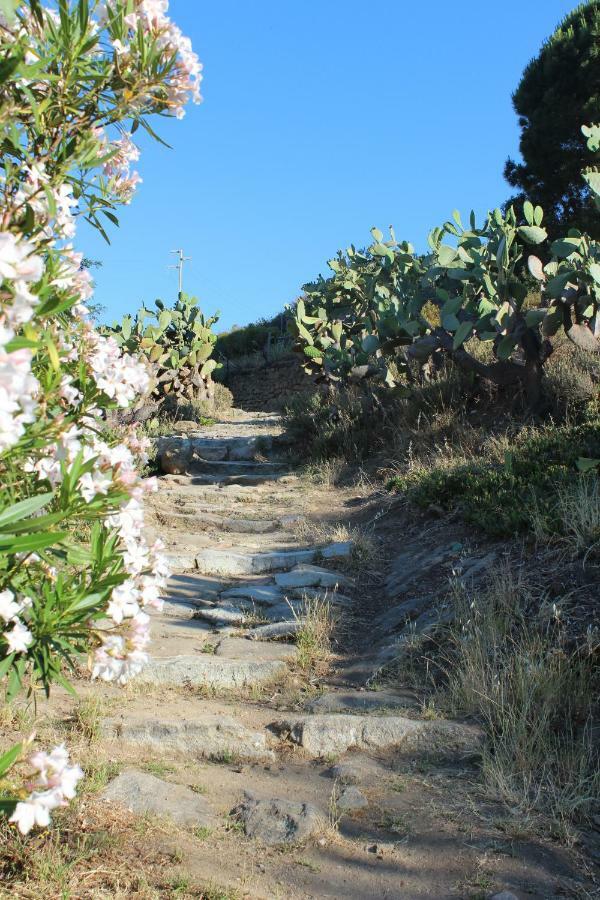 Villa Un Salto Nel Blu Chiessi Exterior foto